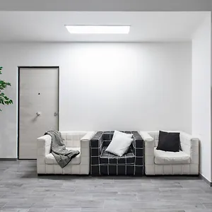 Olimpia House Pensión