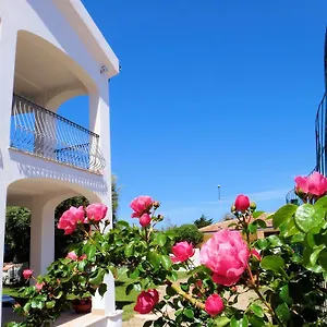Hotel La Tartaruga Bianca ***
